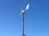 中国 3刃の風力300W小さい力の風力発電機の高性能の低い風は街灯の家に向かいます 会社